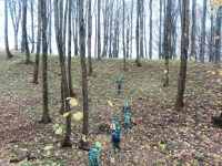 InShot_20251028_141205900