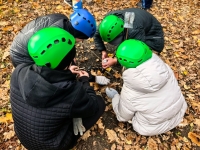 InShot_20251028_141035624